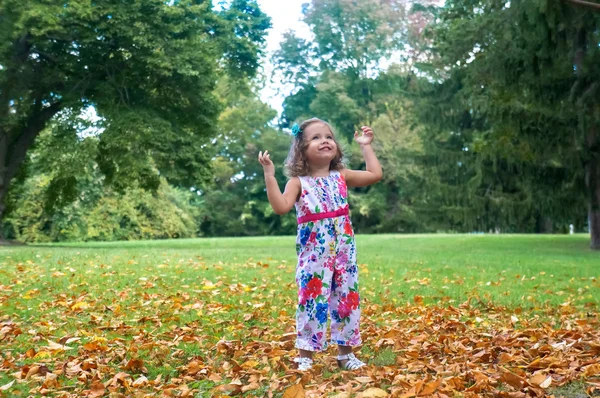 Linda niña en el bosque en otoño —  Fotos de Stock