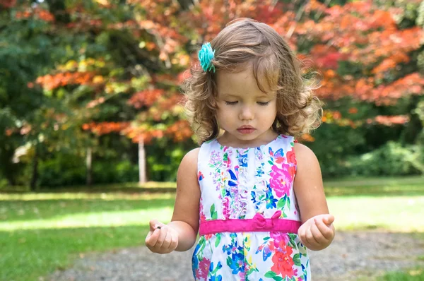 Cute baby girl in the forest in autumn — Stock Photo, Image