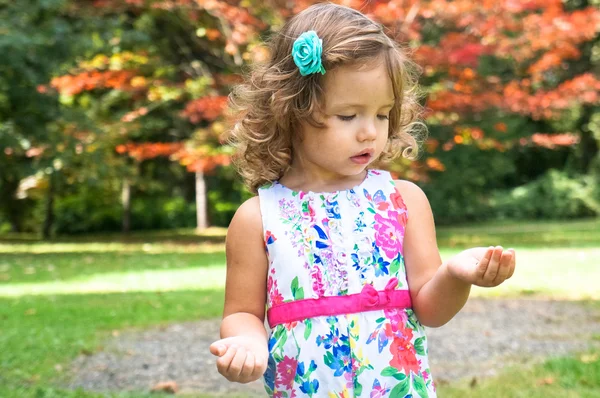 Linda niña en el bosque en otoño —  Fotos de Stock