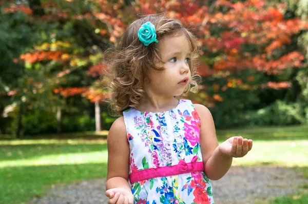 Nettes kleines Mädchen im Herbst im Wald — Stockfoto