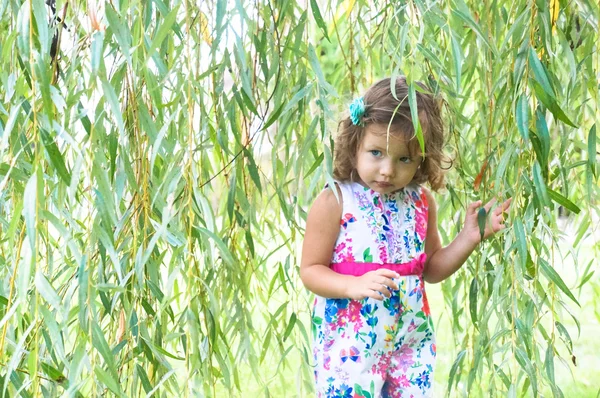 Carina bambina nella foresta in autunno — Foto Stock