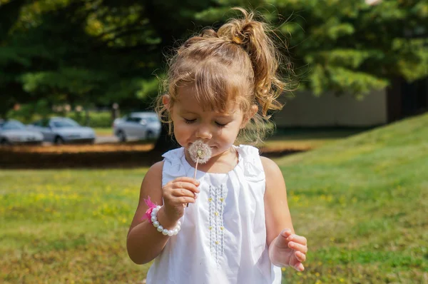 Cute baby girl is blowing a dandelion — Stock Photo, Image