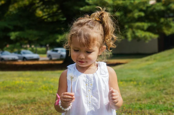 Cute baby girl is blowing a dandelion — Stock Photo, Image