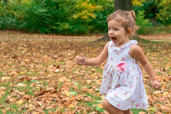 Linda niña en el bosque —  Fotos de Stock