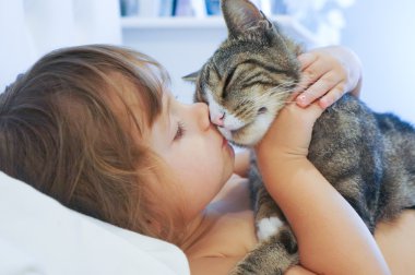 Çocuk bir kedi öpüşme
