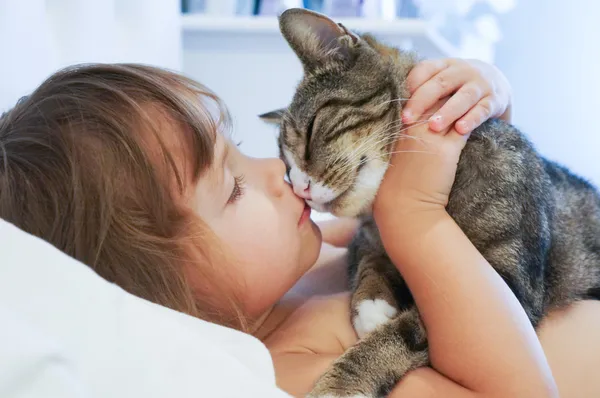 El niño está besando a un gato — Foto de Stock