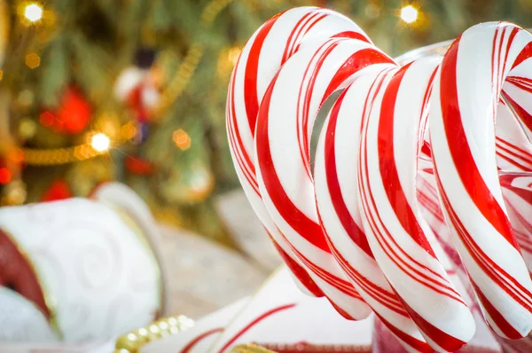 Christmas peppermint candy canes — Stock Photo, Image