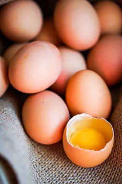 çiftlik kahverengi tavuk EGUN ortaya çıkar.