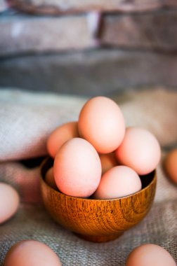 çiftlik kahverengi tavuk EGUN ortaya çıkar.