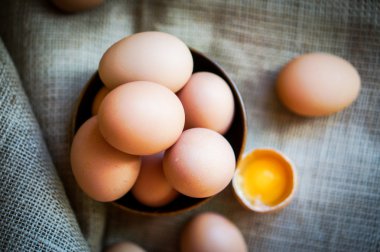 çiftlik kahverengi tavuk EGUN ortaya çıkar.