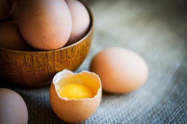 çiftlik kahverengi tavuk EGUN ortaya çıkar.
