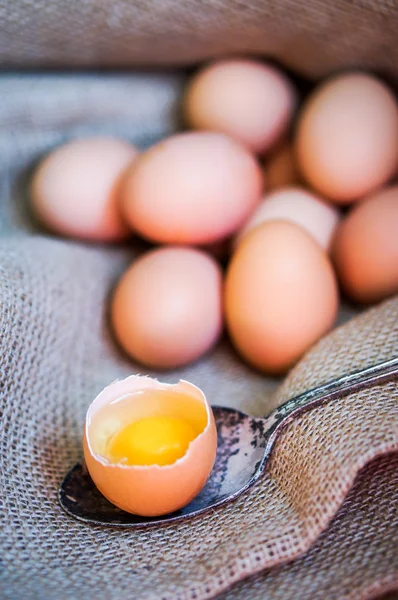 Farm raised brown chicken egss — Stock Photo, Image