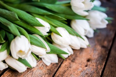 rustik ahşap zemin üzerinde beyaz laleler