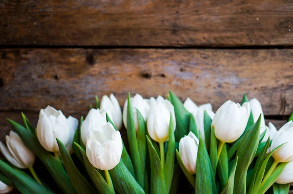 White tulips on rustic wooden background — Stock Photo, Image