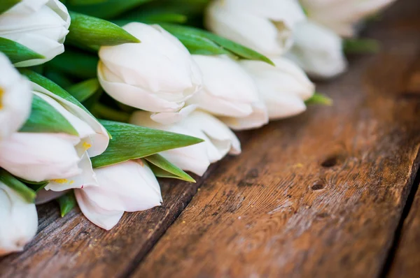 Tulipanes blancos sobre fondo rústico de madera — Foto de Stock