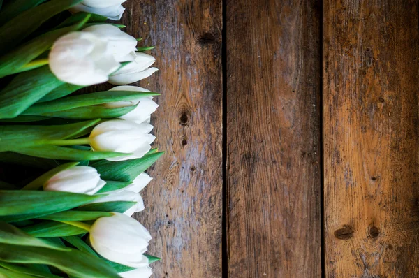 Tulipanes blancos sobre fondo rústico de madera — Foto de Stock