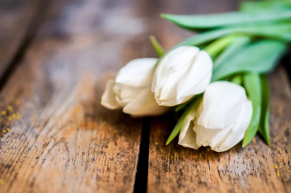 Witte tulpen op rustieke houten achtergrond — Stockfoto