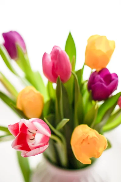 Kleurrijke tulpen op witte achtergrond — Stockfoto