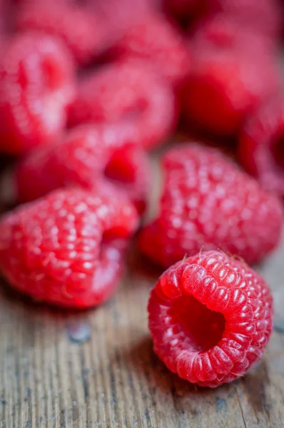 Penutup raspberry segar yang diambil — Stok Foto