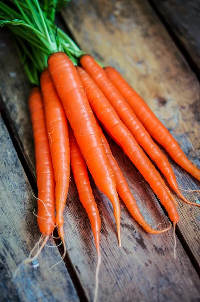 Farm raised organic carrots on wooden background — Stock Photo, Image
