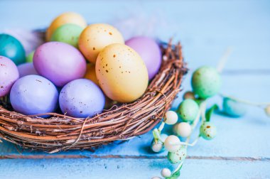 Mavi ahşap zemin üzerinde yuvadaki yumurta