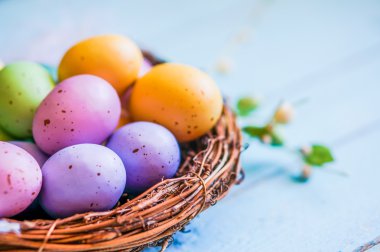 Mavi ahşap zemin üzerinde yuvadaki yumurta