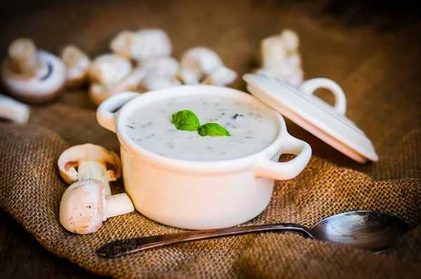 Mushroom soup in white bowl — Stock Photo, Image