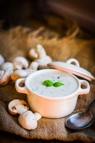 Soupe aux champignons dans un bol blanc — Photo