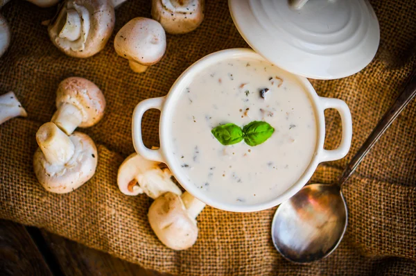 Mushroom soup in white bowl — Stock Photo, Image