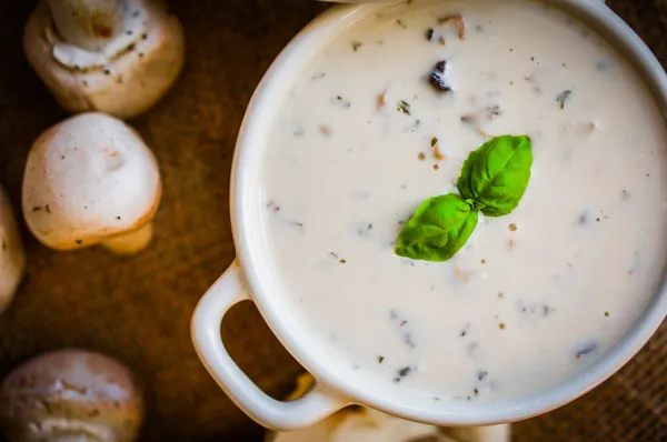 Sopa de cogumelos em tigela branca — Fotografia de Stock