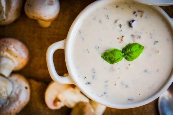 Soupe aux champignons dans un bol blanc — Photo