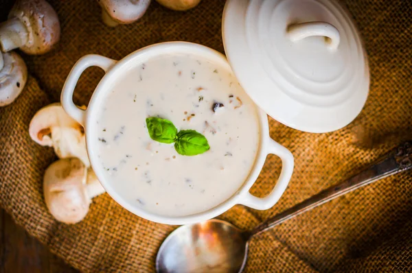 Soupe aux champignons dans un bol blanc — Photo