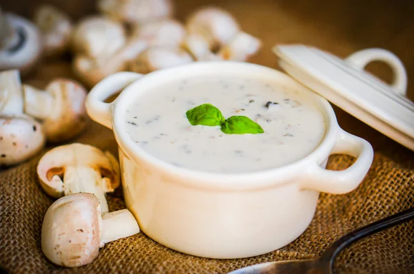 Sopa de cogumelos em tigela branca — Fotografia de Stock