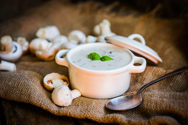 Mushroom soup in white bowl — Stock Image Mushroom soup in white bowl Stock Picture