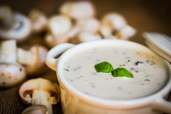 Mushroom soup in white bowl — Stock Image Mushroom soup in white bowl Stock Photo