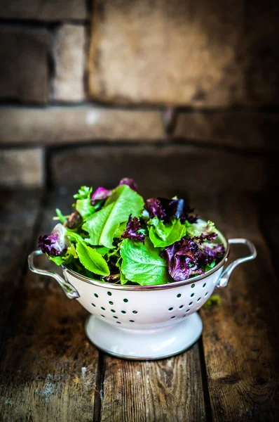 Ispanak, roka, romane ve marul taze yeşil salata — Stok fotoğraf