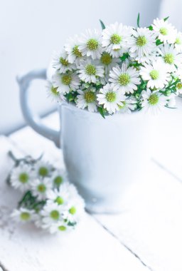 ahşap zemin üzerinde beyaz vazoda papatyalar