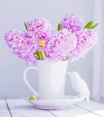 Beyaz arka plan üzerinde beyaz bir vazo içinde pembe sümbül