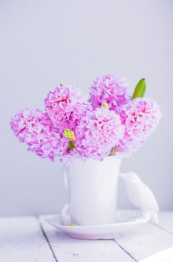 Beyaz arka plan üzerinde beyaz bir vazo içinde pembe sümbül