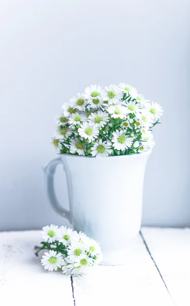 Marguerites en vase blanc sur fond bois — Photo