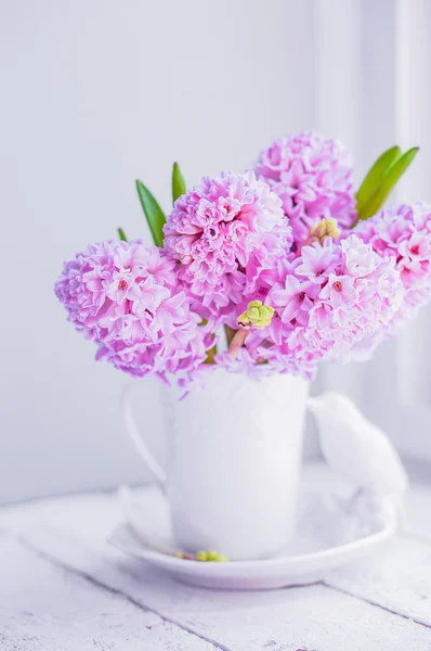 A fehér váza, fehér alapon, rózsaszín Jácint — Stock Fotó