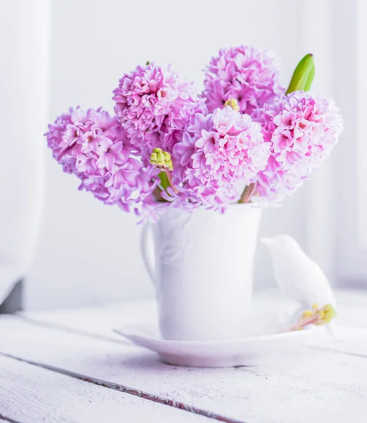 Jacinthes roses en vase blanc sur fond blanc — Photo