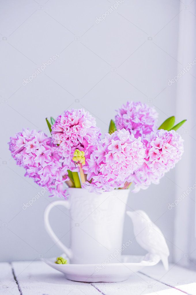 Pink  hyacinths in white vase on white background