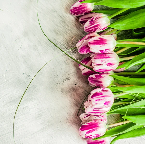 Tulpen auf rustikalem Holzgrund — Stockfoto