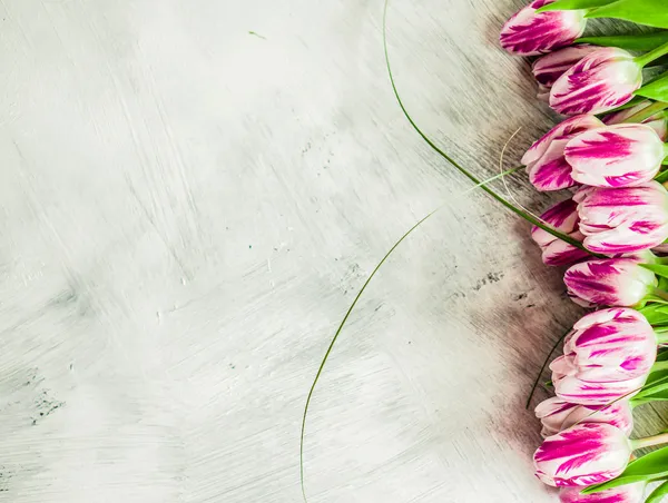 Tulpen auf rustikalem Holzgrund — Stockfoto
