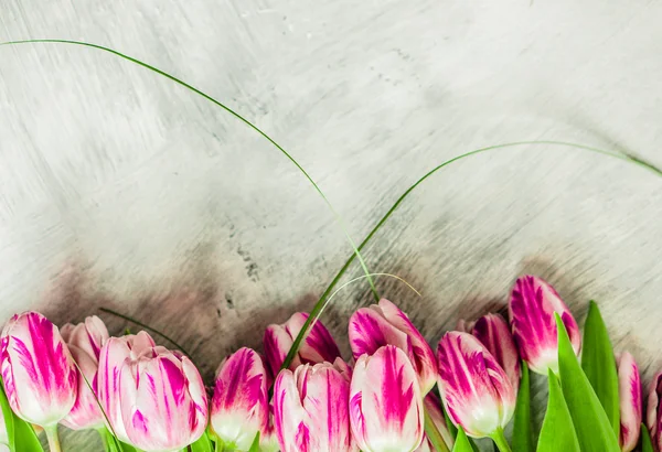 Tulipanes sobre fondo rústico de madera — Foto de Stock