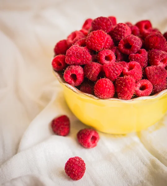 Himbeeren in einer Schüssel — Stockfoto