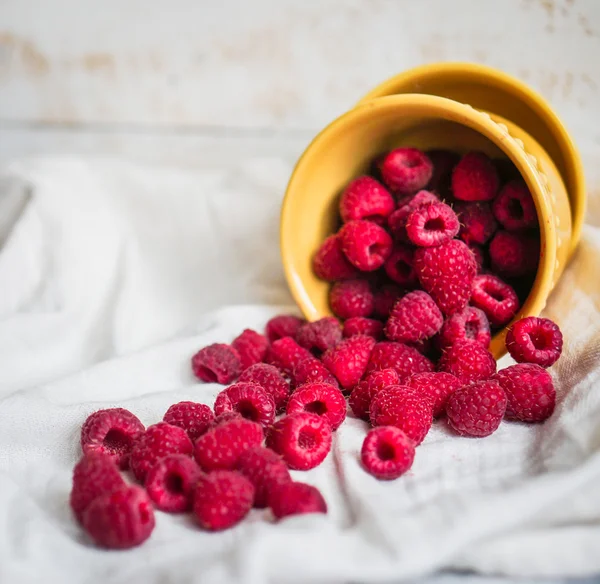 Raspberries in a bowl — Stock Photo, Image