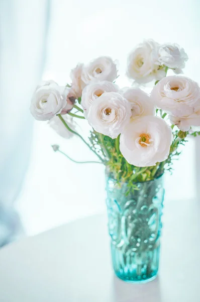 Ranunculus blanc sur fond pastel — Photo