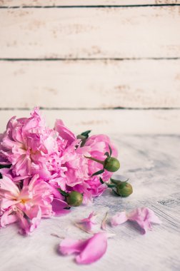 Peonies rustik ahşap zemin üzerinde